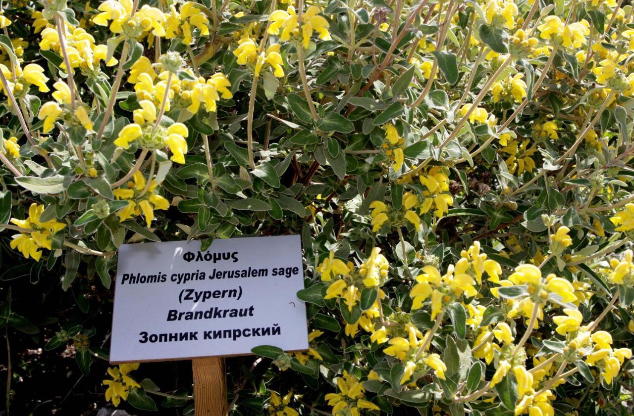 Polis Herb Garden Dış mekan fotoğraf